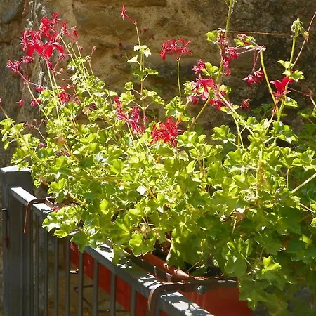Le Gatte * Prignano Cilento