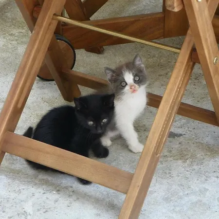 Le Gatte * Prignano Cilento