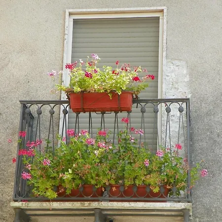 Le Gatte Prignano Cilento
