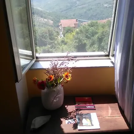 Le Gatte Bed & Breakfast Prignano Cilento