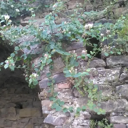 Bed & Breakfast Le Gatte