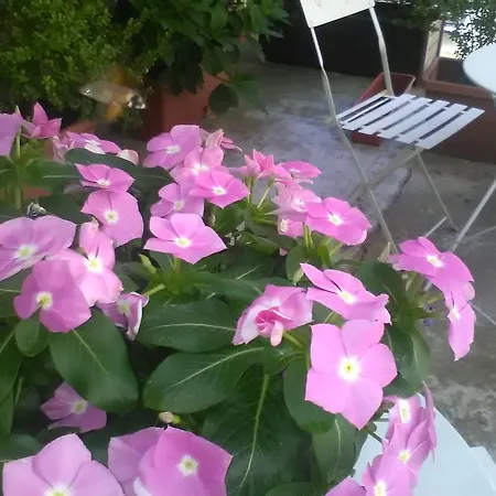 Le Gatte Bed & Breakfast Prignano Cilento